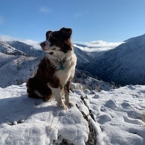 Meet your Posher, Courtney